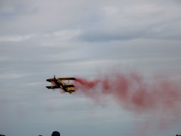 rodenberg2025 49